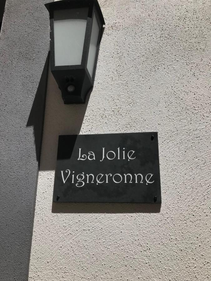 La Jolie Vigneronne Villa Marseillan Kültér fotó